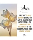 J'adore Eau De Parfum for Women 100ml / 3.4 fl oz by Dior