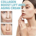 IL MAKIAGE Power Lift Plumping Cream Advanced Anti-Aging Firming Vegan Cream 20ml